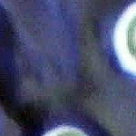 Blue Rose Polish Pottery 2003 Zaklady Basket With Handles 3 Blue Rose Polish Pottery 2003 Zaklady Basket With Handles